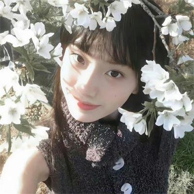 猫咪马汀海报
